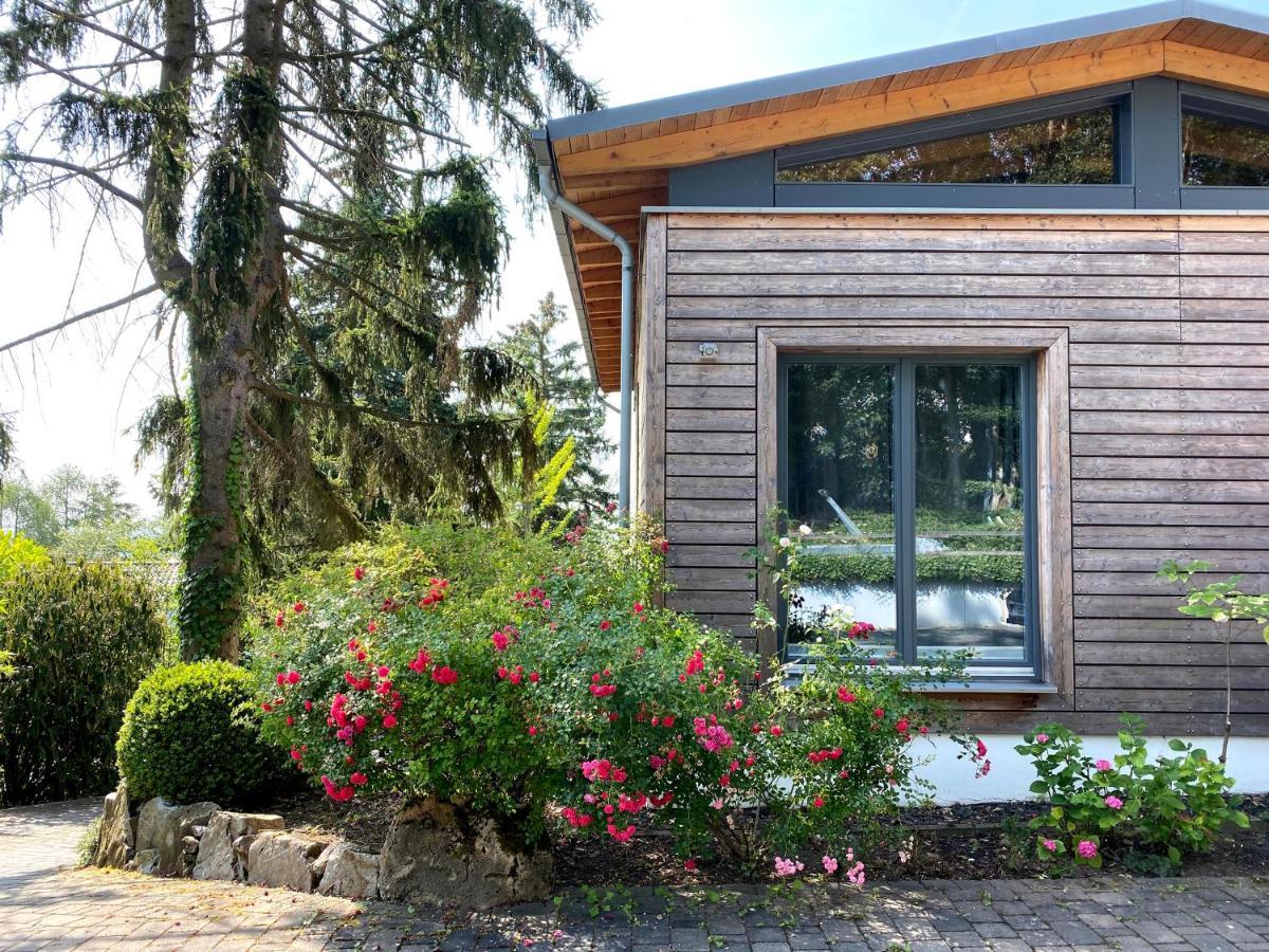 Balthasar Ress Guesthouse Am Rebhang Im Rheingau Эстрих-Винкель Экстерьер фото