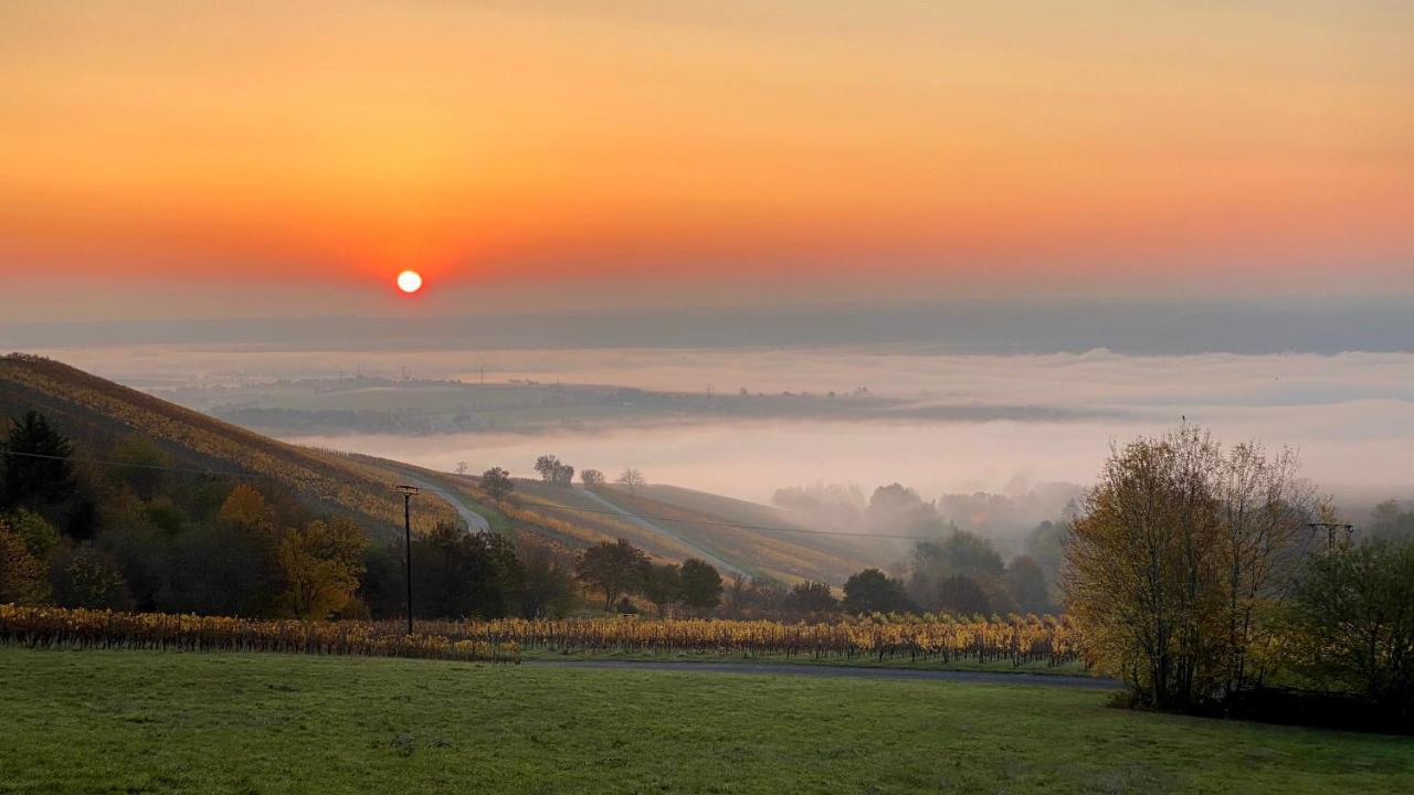 Balthasar Ress Guesthouse Am Rebhang Im Rheingau Эстрих-Винкель Экстерьер фото
